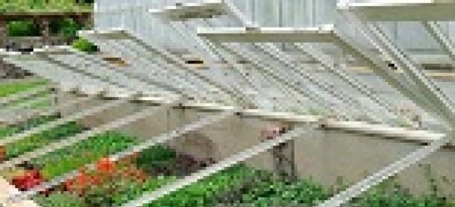 What kind of coating is used for greenhouses: types and their features